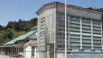 2012032910540000.jpg