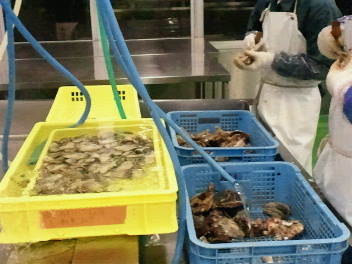 2012040209440000.jpg