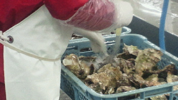 2012041310440000.jpg