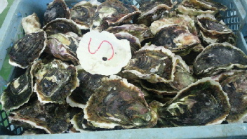 2012041310430000.jpg
