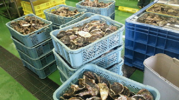2012041310420001.jpg