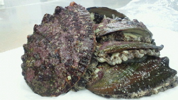 2012050811150002.jpg