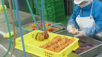 2012052309130000.jpg