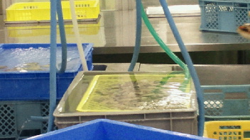 2012060609500001.jpg
