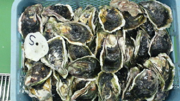 2012061209490004.jpg