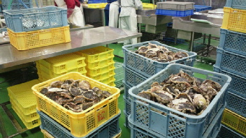 2012061209490003.jpg