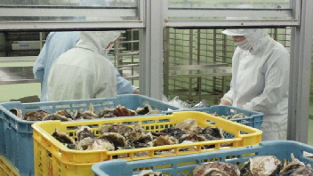 2012061209480001.jpg