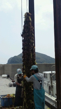 2012061310310000.jpg