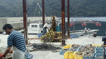 2012061310270000.jpg