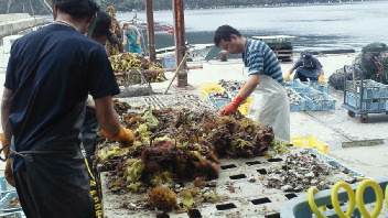 2012061310260002.jpg