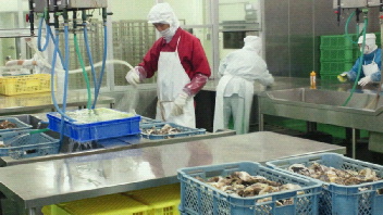 2012061309080001.jpg