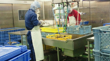 2012061409340000.jpg