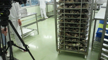 2012061409320002.jpg