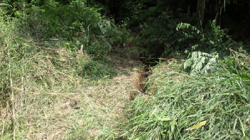 2012062115090000.jpg