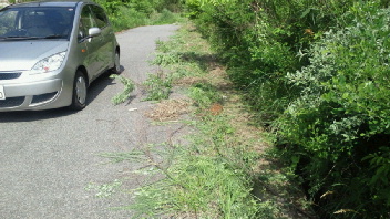 2012062115080000.jpg