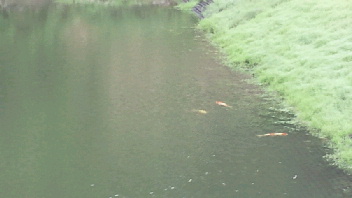 2012062107030001.jpg