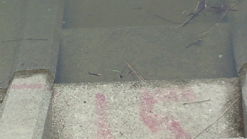 2012062107020001.jpg