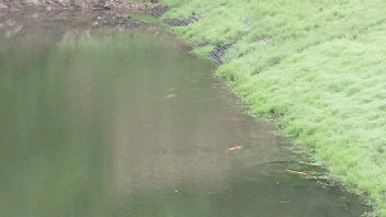 2012062107010001.jpg