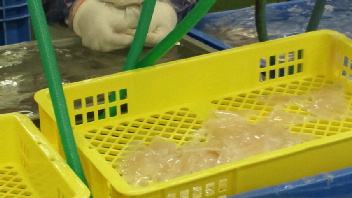 2012062209010002.jpg