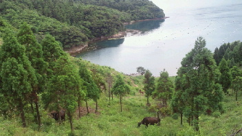 2012062518380000.jpg