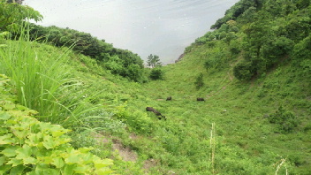 2012062518350000.jpg
