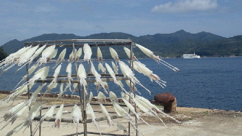 2012070909490000.jpg