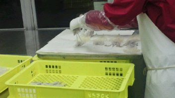 2012070909200001.jpg