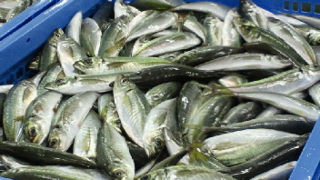 2012071013340001.jpg