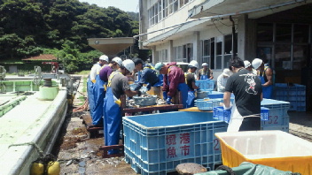 2012071011210000.jpg