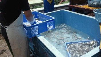 2012071011150000.jpg