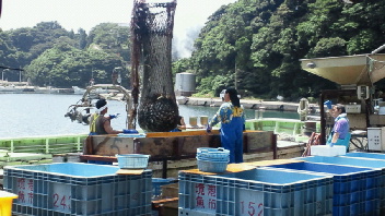 2012071011070000.jpg