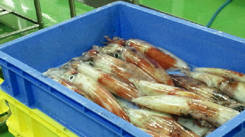 2012111708380001.jpg