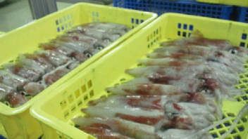 2012112210020000.jpg