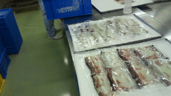 2013011715580000.jpg
