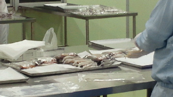 2013011715550000.jpg
