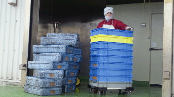 2013011808450000.jpg