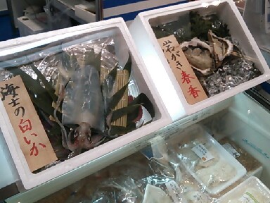 resize_20130308161313.jpg