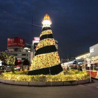 IMG_8663.jpg