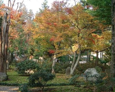 飯田市の開善寺2