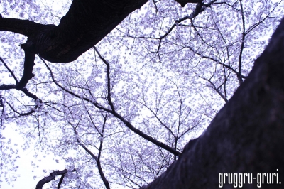 ¤½¤ì¤Ï¼ê¤òº¹¤·¿¤Ù¤Æ