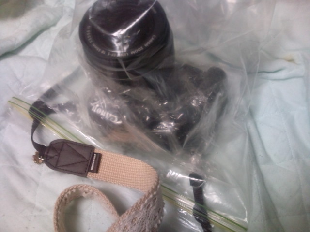 20100523204443.jpg