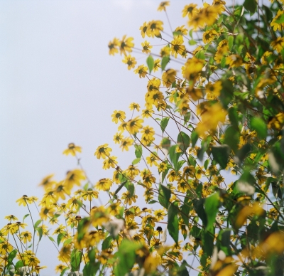 ¸÷¤Ë