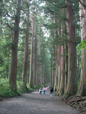 戸隠神社