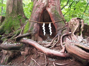 戸隠神社