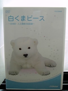 20060706_211541.jpg