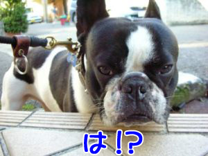 ¤Ê¤Ã¡¢²¿¤«¥¤¥ä¤Êͽ´¶¤¬¡¦¡¦¡¦