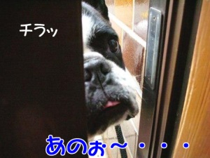 ¤â¤·¤â¤·¡©¡©