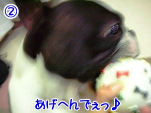 ¼è¤ì¤ë¤â¤Î¤Ê¤é¼è¤Ã¤Æ¤ß¤Ê¡ª