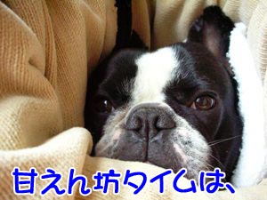 ¥Ü¥¯ÂçÊѤä¤Í¤ó¤«¤é¤Ê¡£