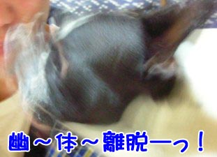 ¥¶¡¦¤¿¤Ã¤Á¤ÎÀ¼¤ÇÆÉ¤ó¤Ç¤Í¢ö